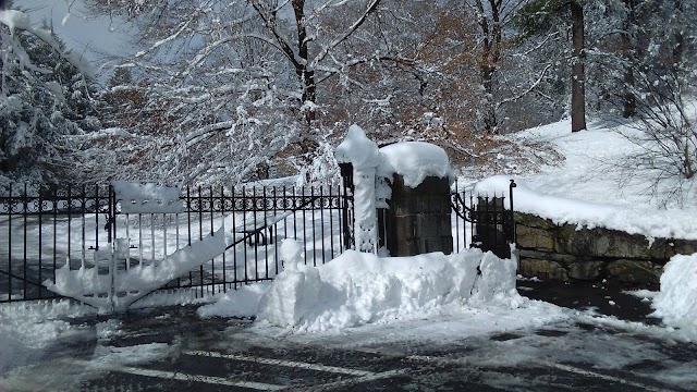 Arnold Arboretum of Harvard University