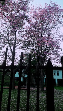 Public Library Anuradhapura, Author: Isiwara Ranasinghe