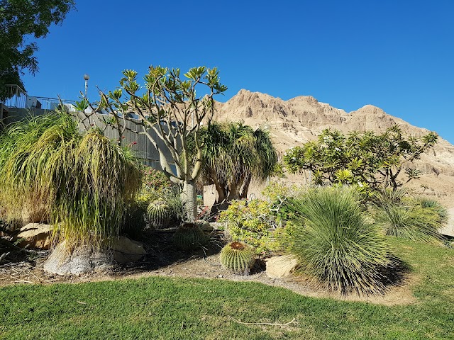 botanical garden