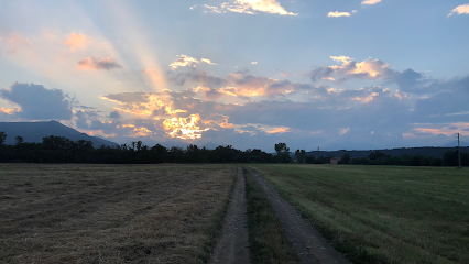 Centro Cinofilo Wild Spirit