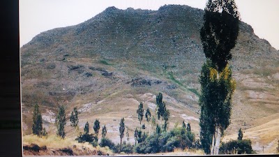 Photos of Taburoğlu Aşiret &Ccedil;ay Ocağı(Necip'in Yeri) T&uuml;rkiye