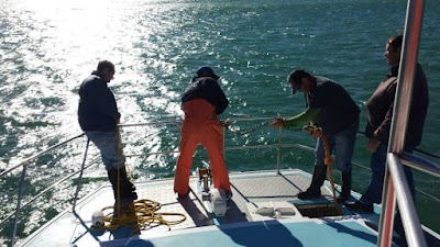 Photos of White Shark Adventures