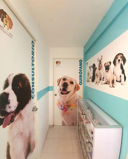 Centro Médico Veterinario Pets Love Vets