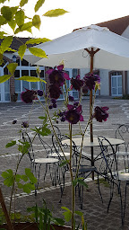 Photo n°7 de Éditions du Septénaire à Mondement-Montgivroux (Maison d'édition)