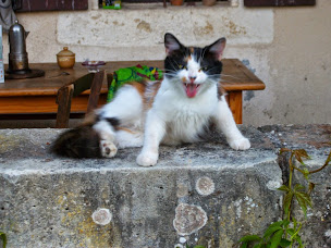 Photo n°3 de La Brize à Saint-Martin-Curton (Association bénévole)