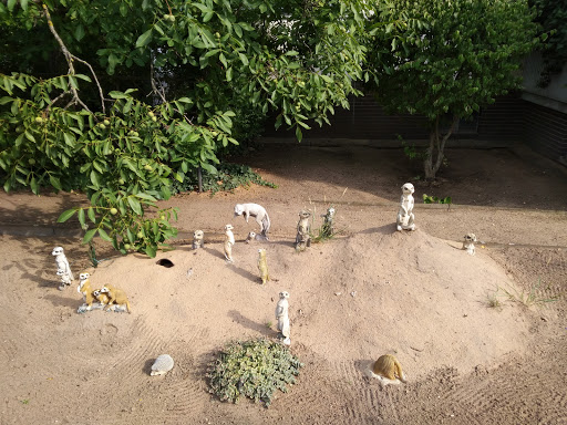 Erdmännchen-Garten - Visual