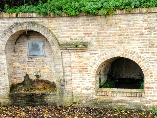 Fonte Moscogna - Visual