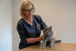 Photo n°43 de Clinique Vétérinaire Renoir - Cuincy - Sevetys à Cuincy (Vétérinaire)