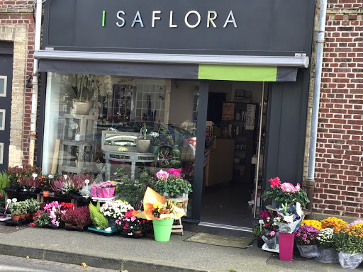 Isaflora - Visual