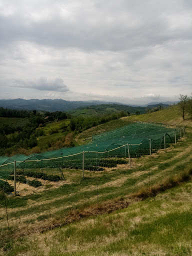 Podere La Casetta - Visual
