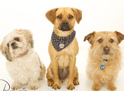 Photos of Hermitage Veterinary Clinic