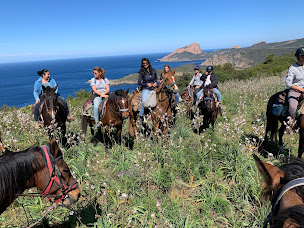 Photo n°1 de Ranch corse CLG sagone ferme équestre à Sagone (Club d'équitation)