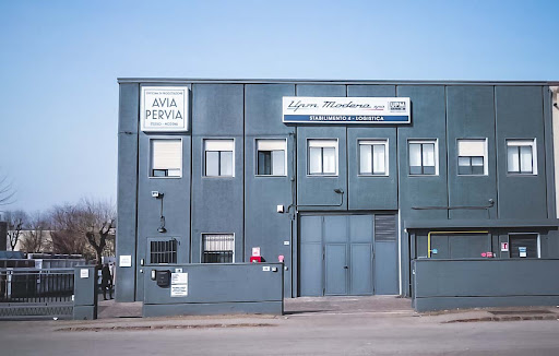 Immagine di Avia Pervia Studio Srl