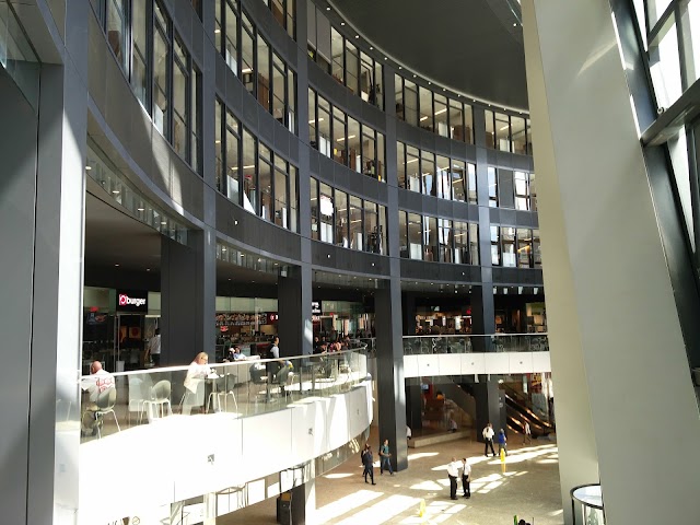 The Bow