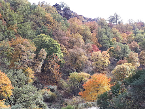 Bosque Encantado - Spain