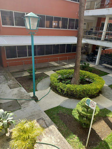 Law Faculty of the Universidad Veracruzana - Thumbnail