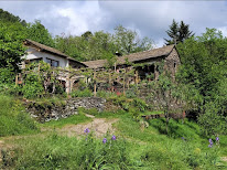 Le mas Cévenol à Saint-Germain-de-Calberte