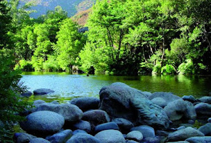 Photo n°41 de Camping Campita à Omessa (Terrain de camping)