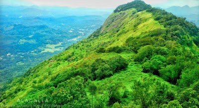 Photos of Alagalla Mountain Peak (කලෝටුවා ගල)
