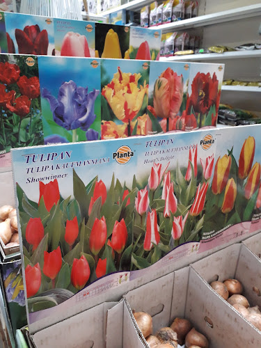 Bielagro Sklep Ogrodniczy Bielsk Podlaski - Ogrodnik