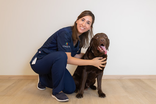 Hospital Veterinario de Referencia Veterios