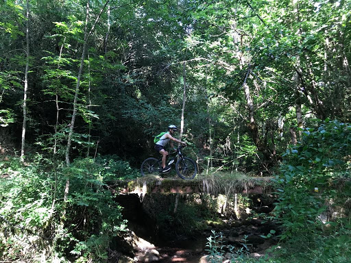 Verdebike - Visual