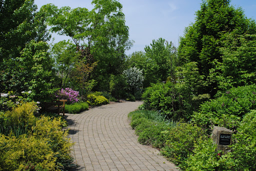 Secrest Arboretum - Visual
