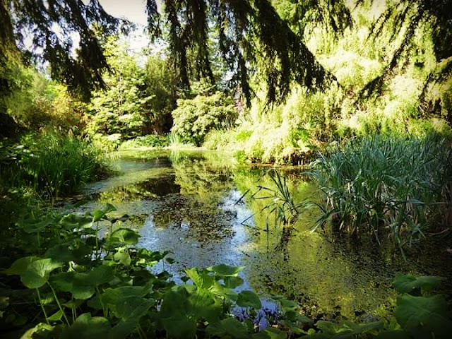 Drum Castle, Garden and Estate