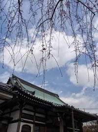 天台宗本覚寺 本覺寺の森観音霊園
