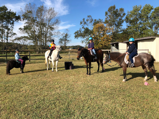 Sweet Meadow Stable - United States