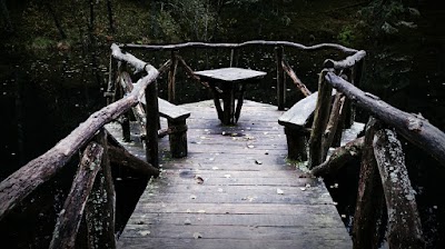 Photos of Taurages misku uredija