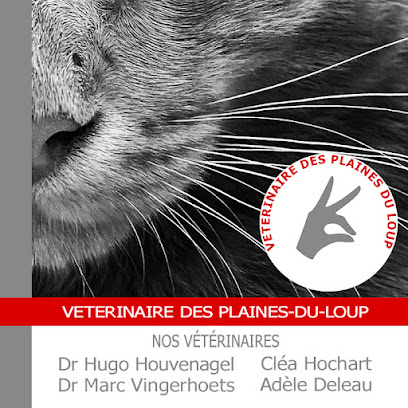 Vétérinaire des Plaines-du-Loup