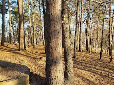 Lake Wedington Campground