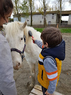 Equi'Terra81/Equithérapie - FONT Caroline à Palleville