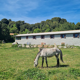 Photo n°13 de Chez Pierrot Quenza à Quenza (Restaurant)