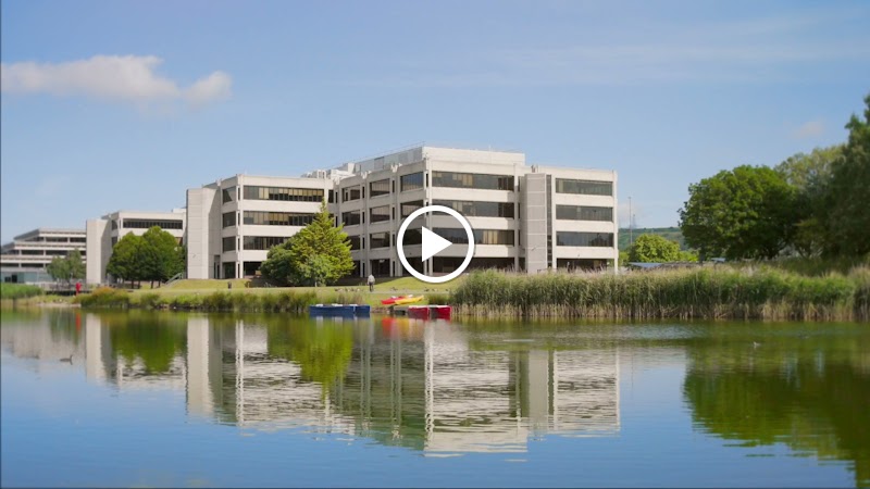 Lakeside North Harbour photo 2