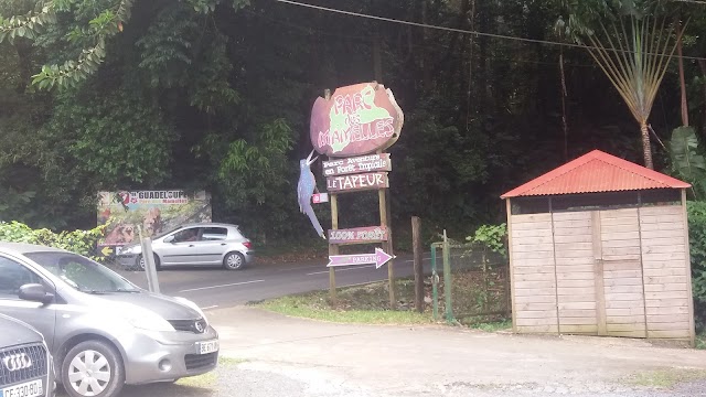 Le Tapeur