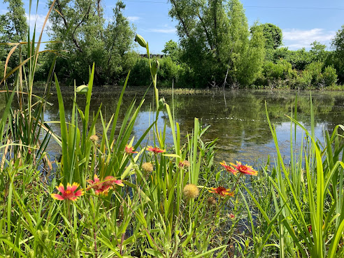 Sankofa Community Development Corporation by null