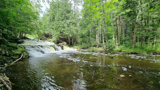 Trout Brook Falls - Thumbnail