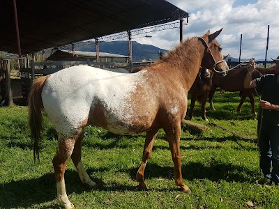 Photos of Valle Verde