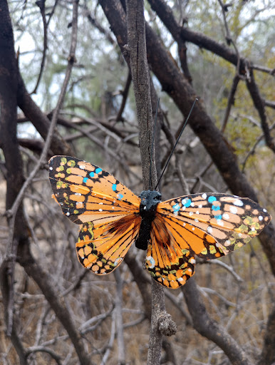 Lincoln Park (Tucson) - Thumbnail