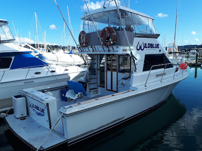 Wildblue Charters Bay of Islands