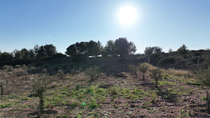Photo n°1 de Des sèves de la Caramoune à Leucate (Magasin de produits de la ferme)