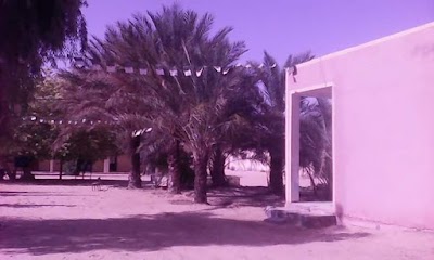 Photos of ابتدائية شلبي بلقاسم