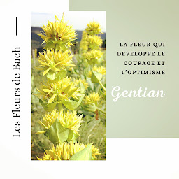 Photo n°8 de Cécile GRANDJEAN - Naturopathe-Réflexologue à Chambéry (Naturopathe)