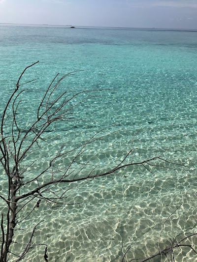 Photos of Bodufushi