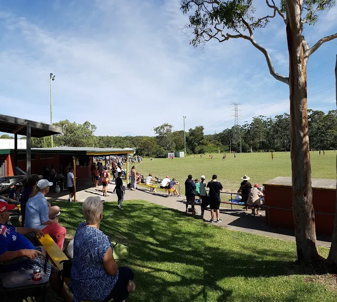 Hillsborough Oval photo