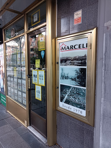 Marceli - Visual