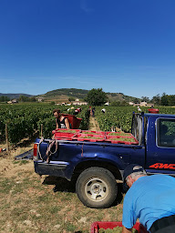 Photo n°19 de MARQUETOUX MARTINE à Saint-Lager (Vignoble)