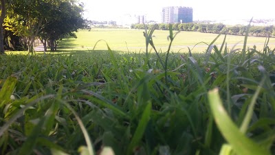 Photos of Sodnac Park